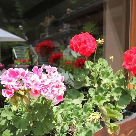 Maison Laurent מלון