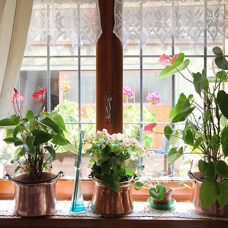 Maison Laurent Courmayeur