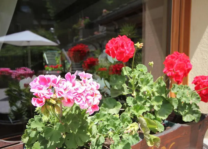 Maison Laurent 酒店