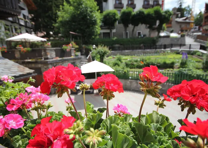 Maison Laurent 3* 库马约尔